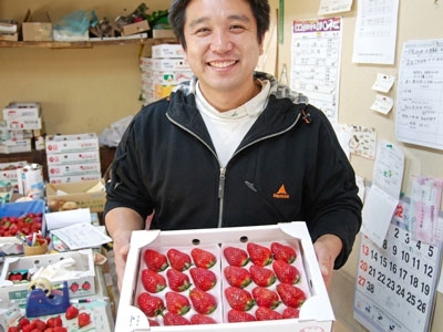 門田様生産のいちごの写真