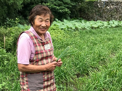 鎌倉様の畑の様子