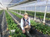 http://www.eco-kochi.jp/data/yosimotosama.pdf