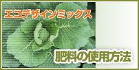 엿̎gp@